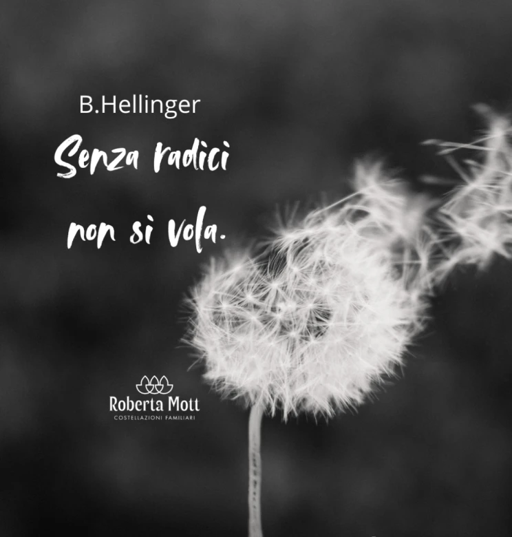 Costellazioni Familiari-Incontro di gruppo a Bolzano