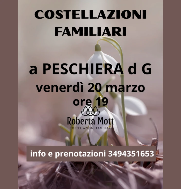 Costellazioni Familiari-Incontro di gruppo a Peschiera del Garda