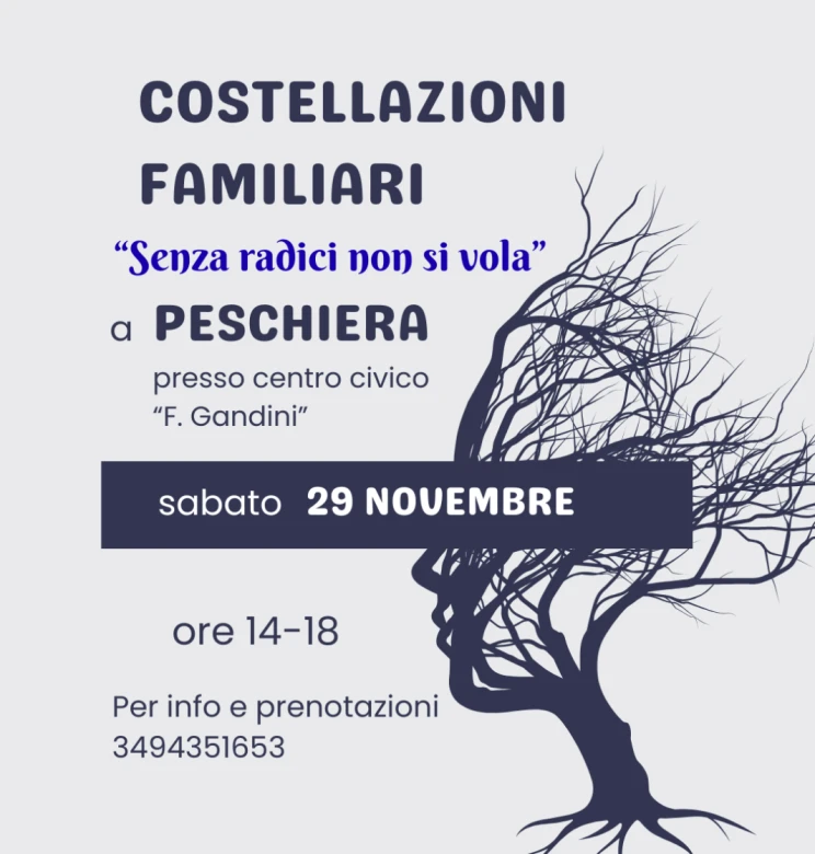 Costellazioni Familiari-Incontro di gruppo a Peschiera del Garda
